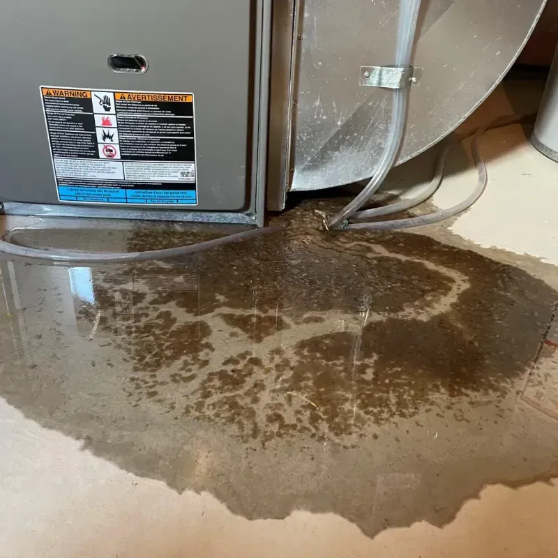 Appliance Leak Cleanup in Brown County, OH